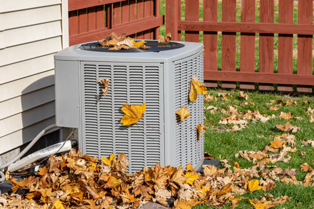 Best Local HVAC Companies  in Lake Hallie, WI